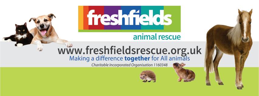 Freshfields Banner
